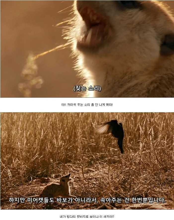 143184636733423.jpg