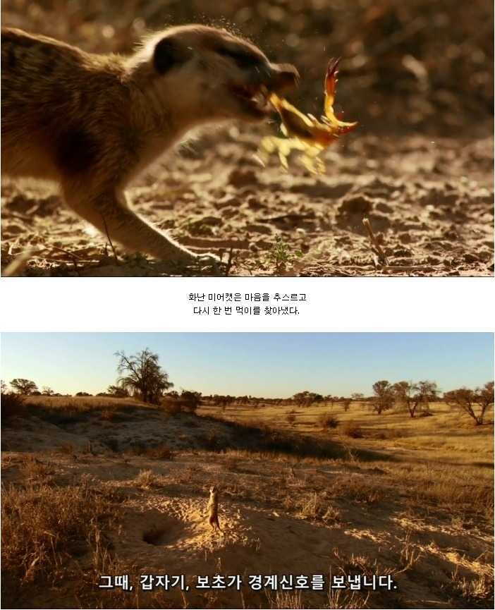 143184636839286.jpg