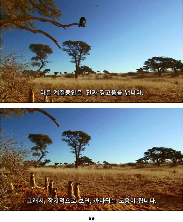 143184636925632.jpg
