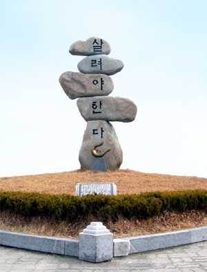 143700316289914.jpg
