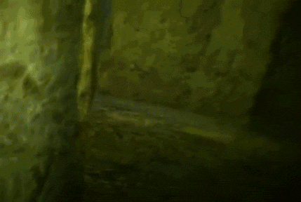143817188117956.jpg
