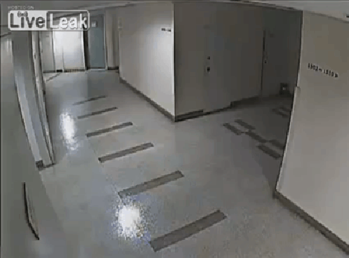 143817212855661.jpg