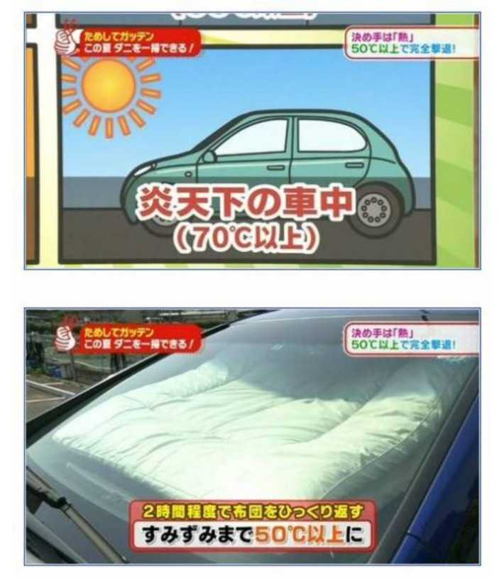 144045412846281.jpg