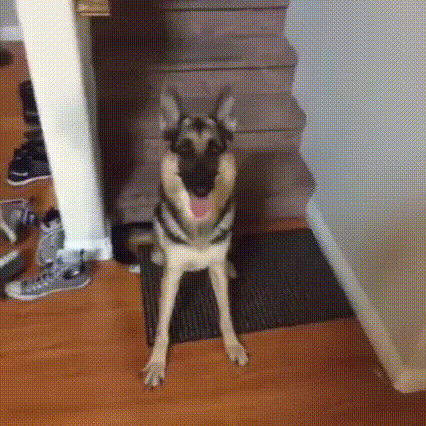 144045676577400.jpg