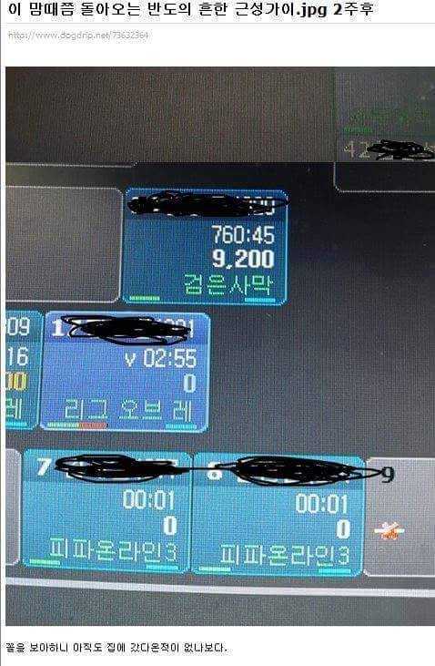 144162538668303.jpg