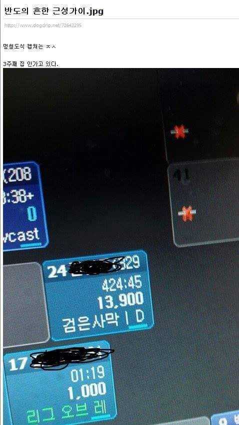 144162539111911.jpg