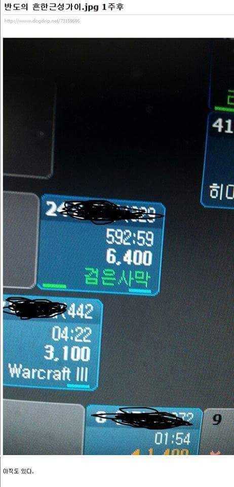 144162539130440.jpg
