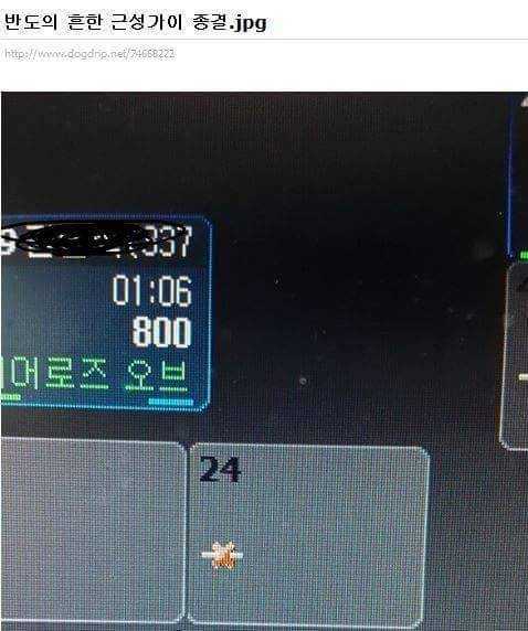 144162539150474.jpg