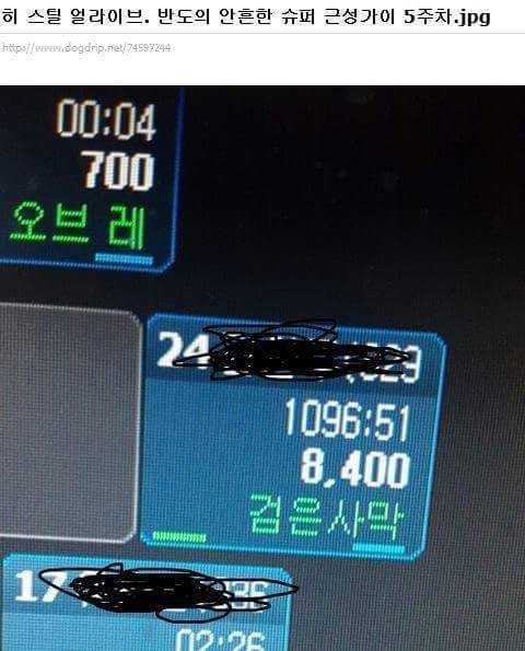 144162539176118.jpg