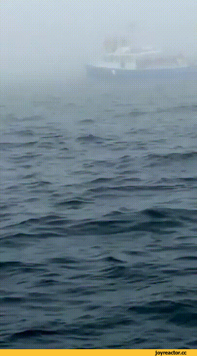 144171898160604.jpg