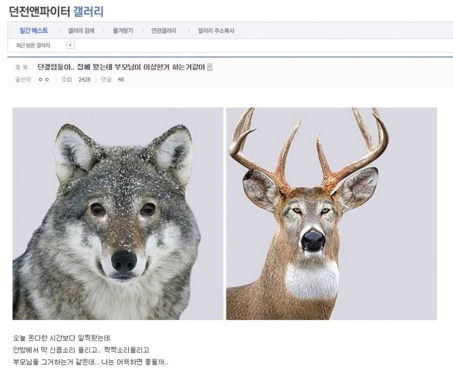 144172434930375.jpg