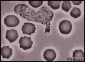 144242065740218.jpg