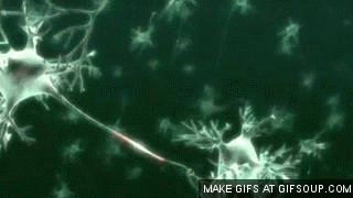 144242091816964.jpg