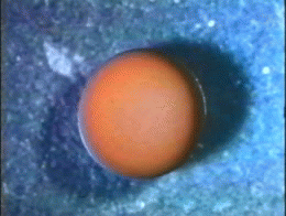 144242093452298.jpg