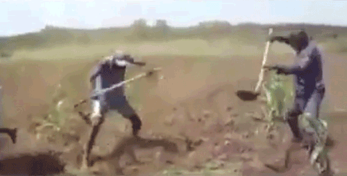 144370125495041.jpg