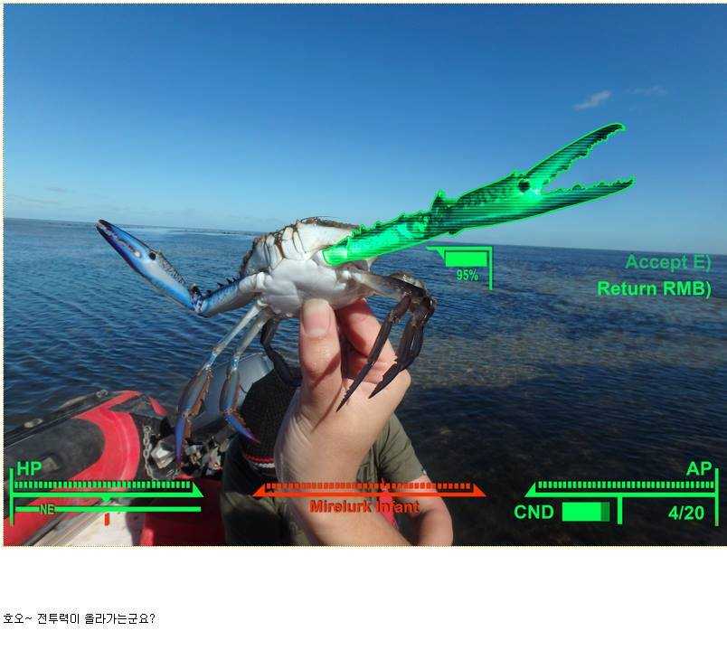144431204654684.jpg