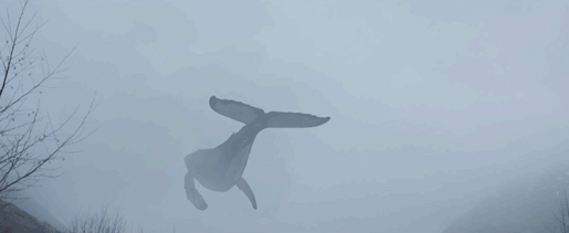 144443886170781.jpg