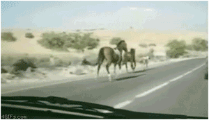 144549344179279.jpg