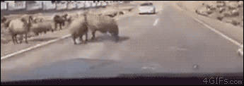 144549359273179.jpg