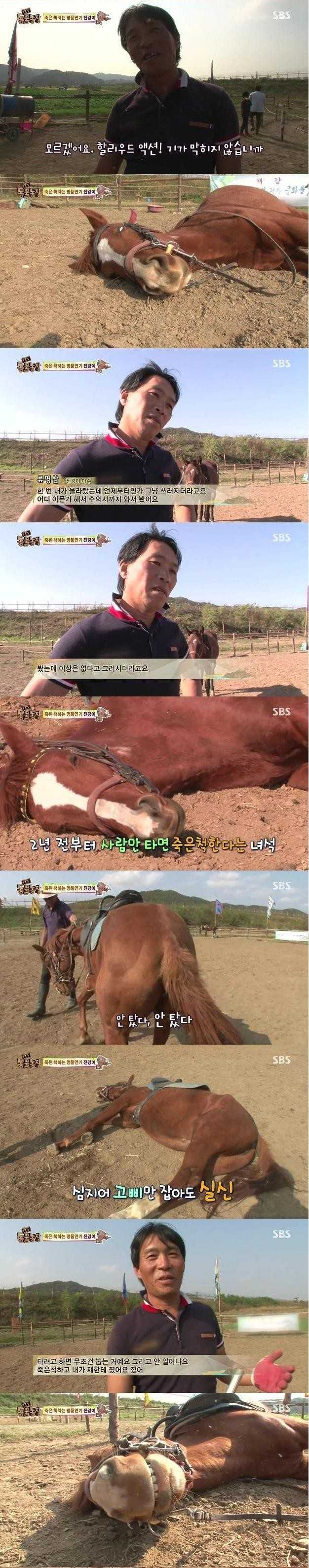 144552526371625.jpg