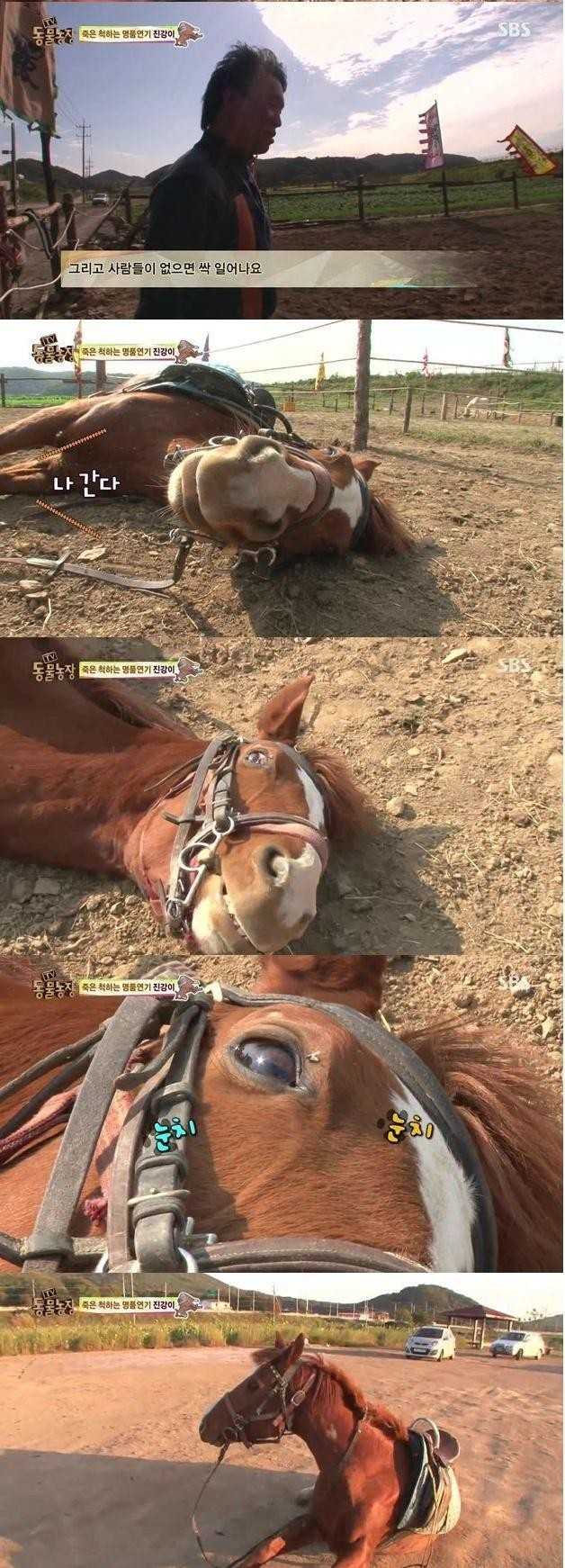 144552531616663.jpg
