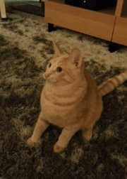 145746199393792.jpg