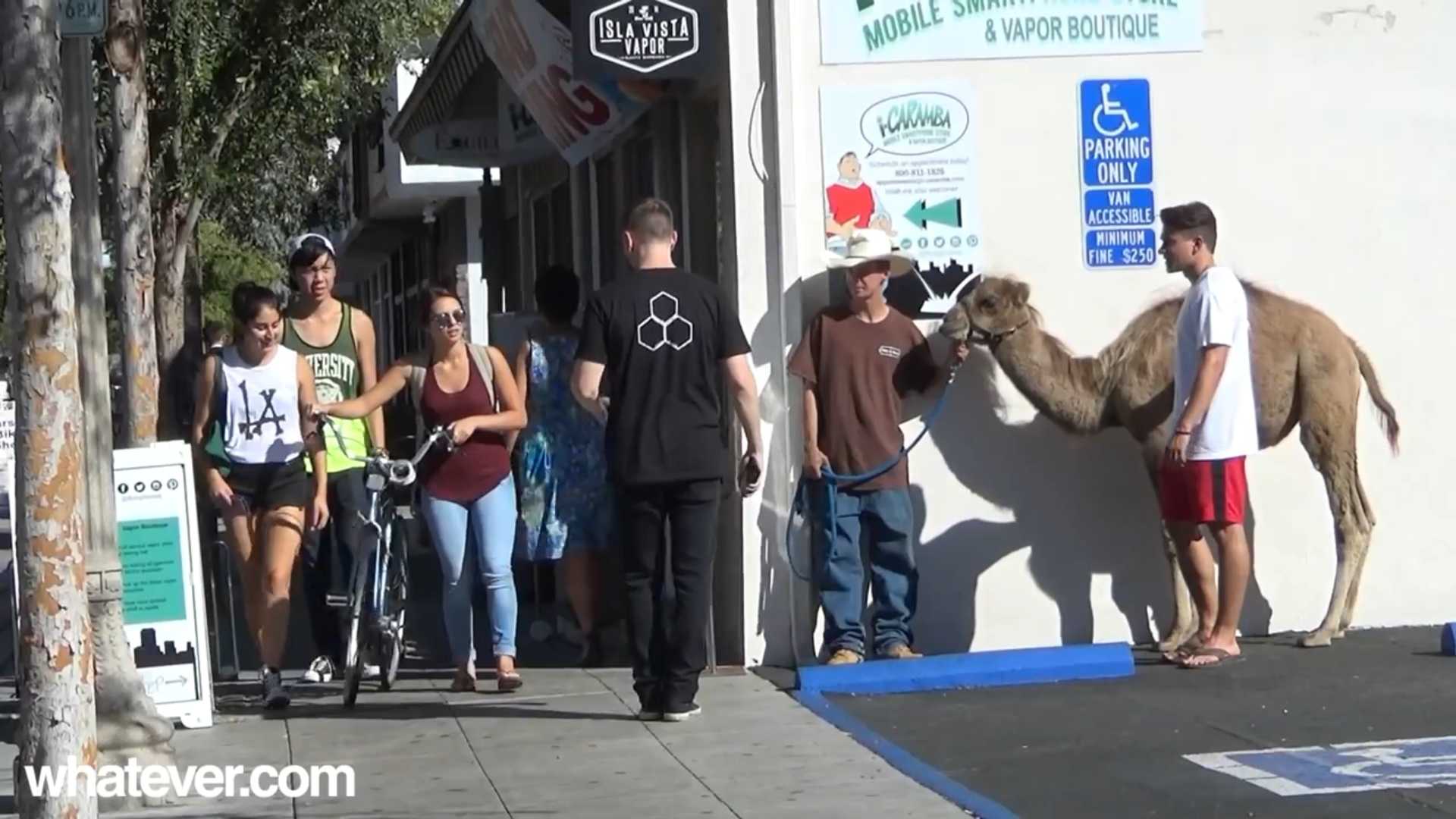 145752371518432.jpg