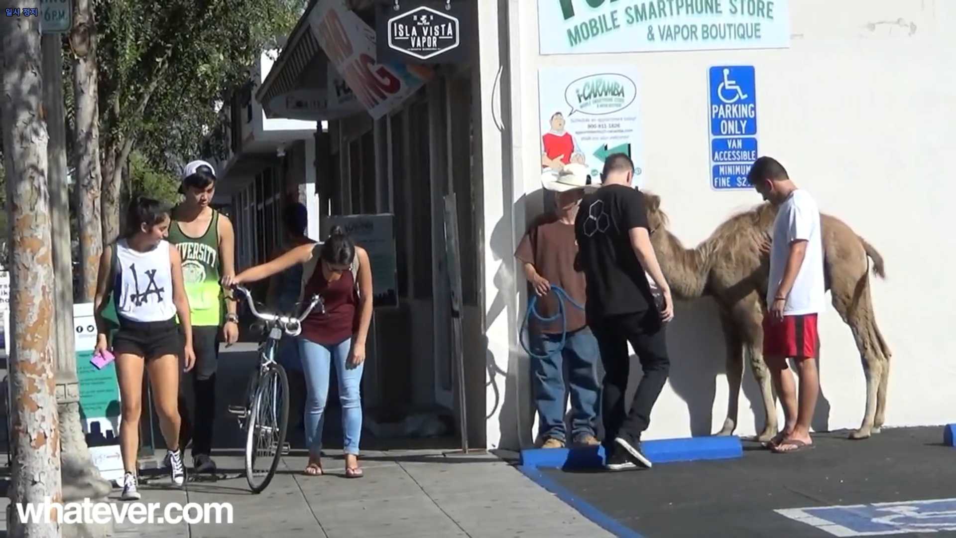 145752371582220.jpg
