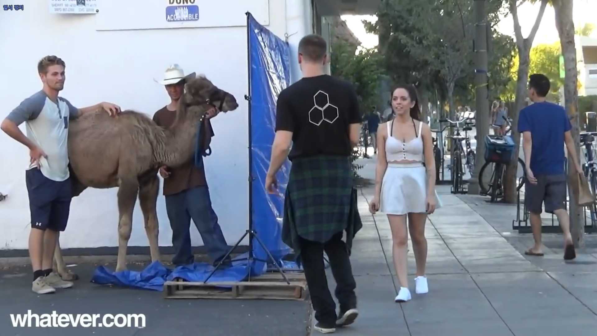 145752371921719.jpg
