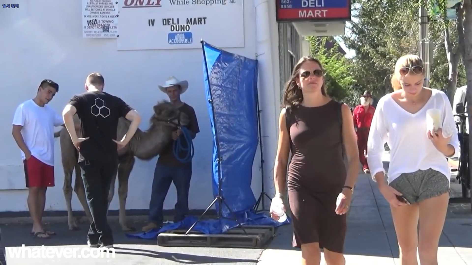 145752382530600.jpg