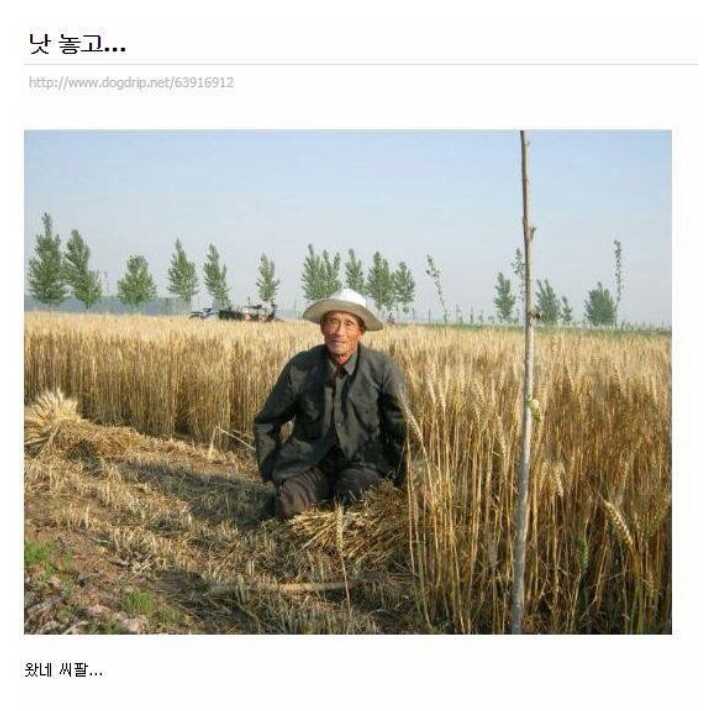 145886200229102.jpg