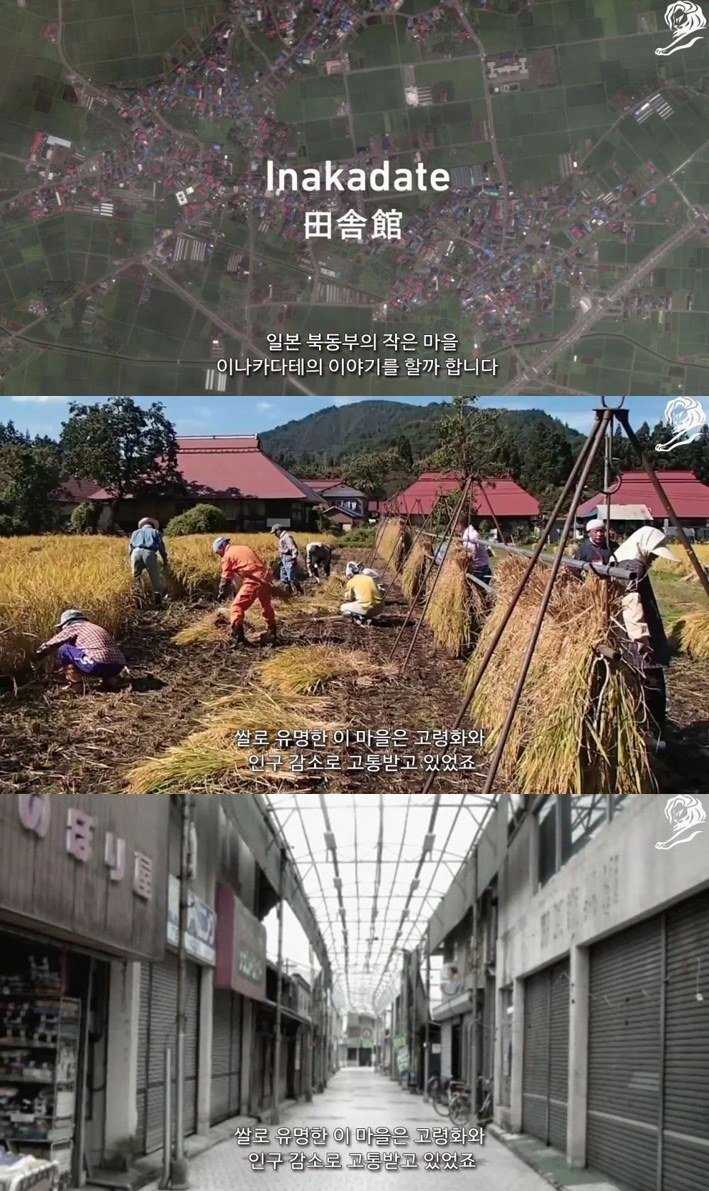 145950177196168.jpg