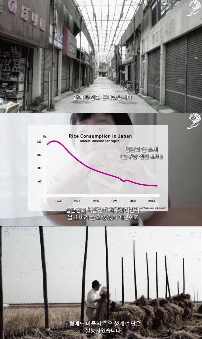 145950180327426.jpg