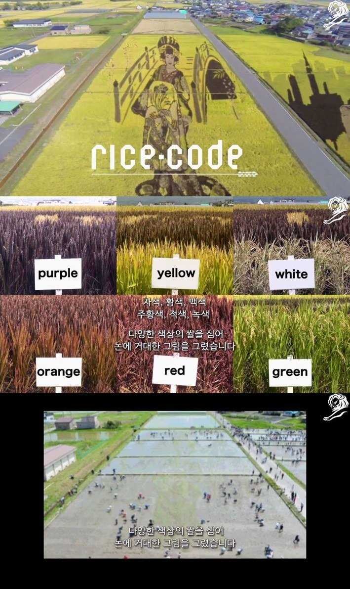 145950183860092.jpg