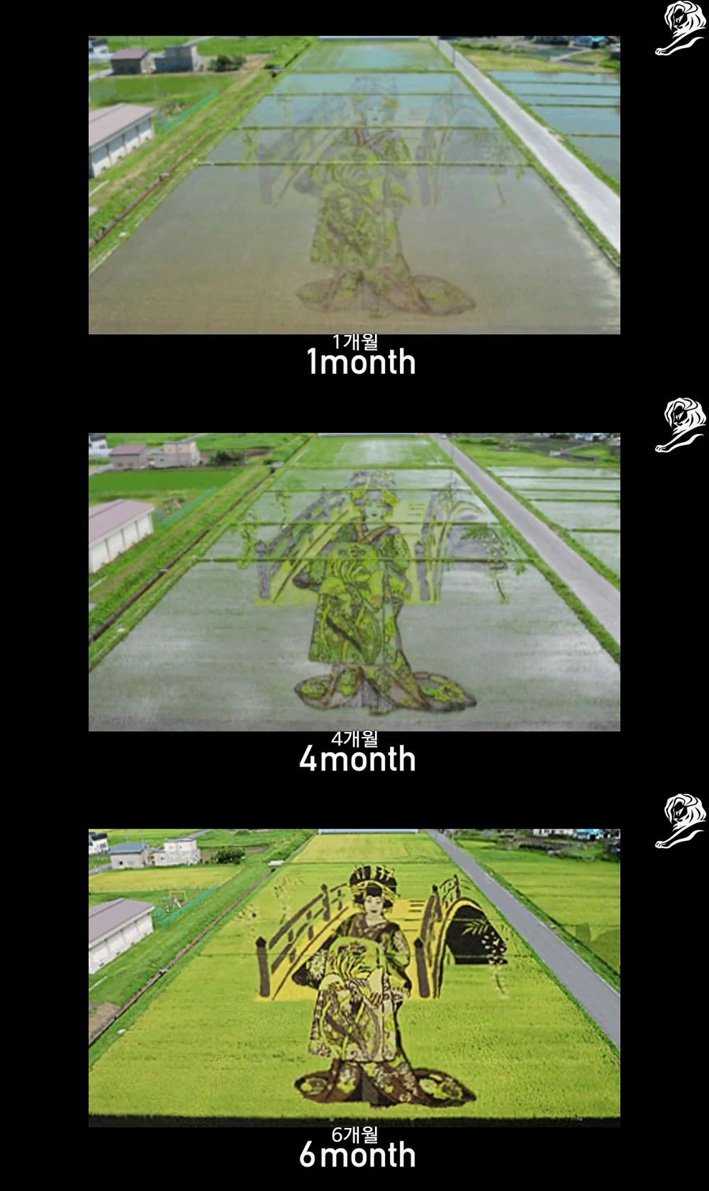 145950186591152.jpg