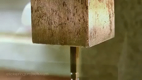 145950575762356.jpg