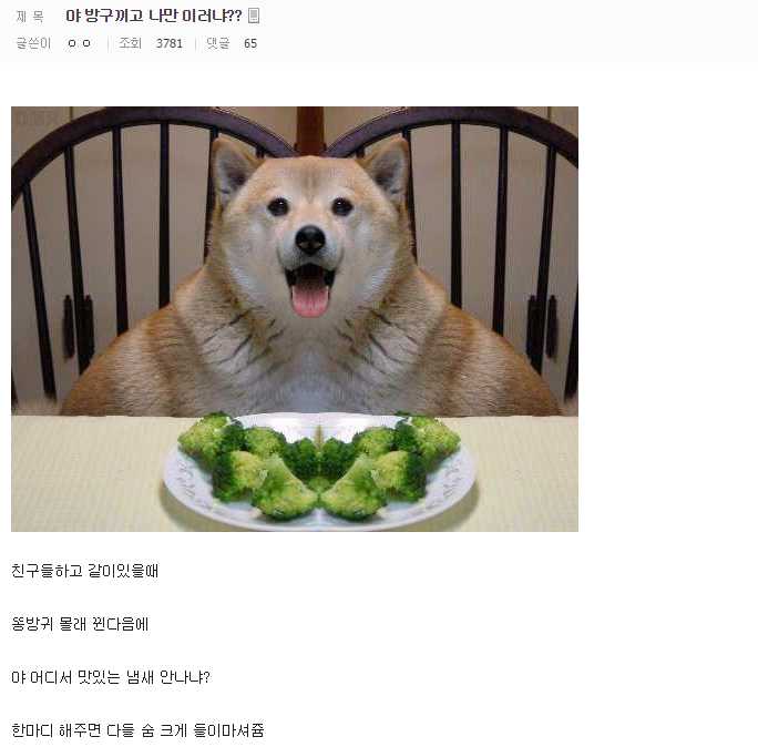 146392088710051.jpg