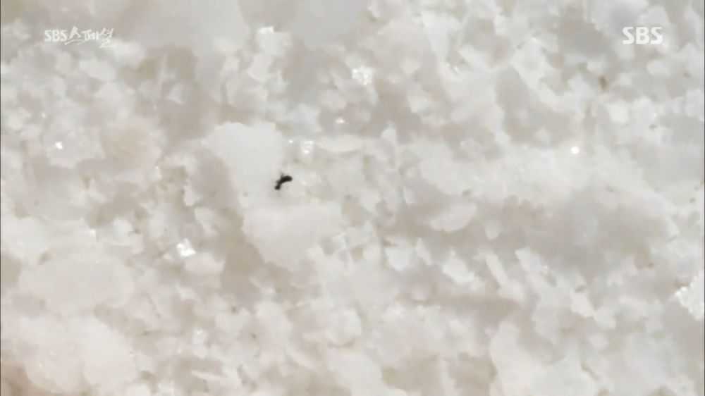 146553473590178.jpg