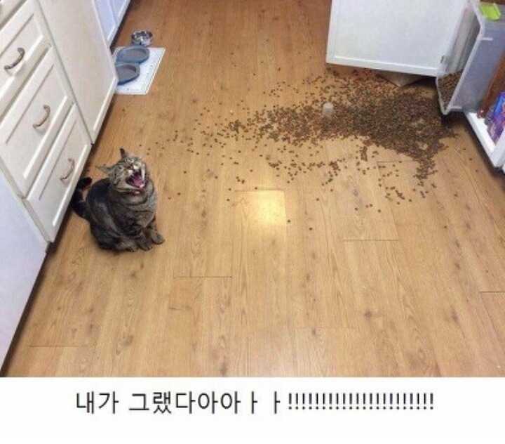 146909717974340.jpg