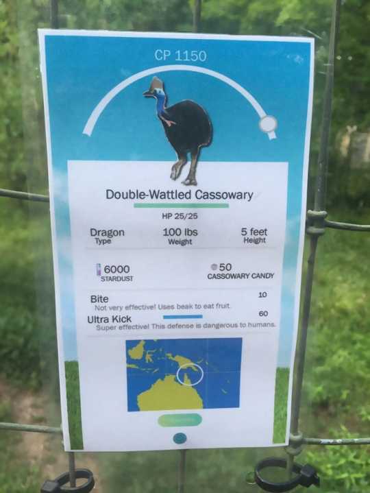 146910751177034.jpg
