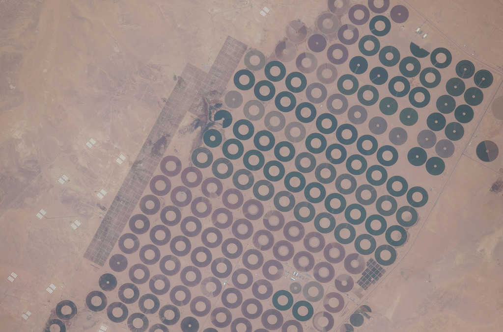 146911643246673.jpg