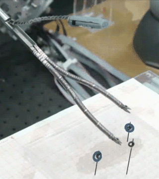 146929525526278.jpg