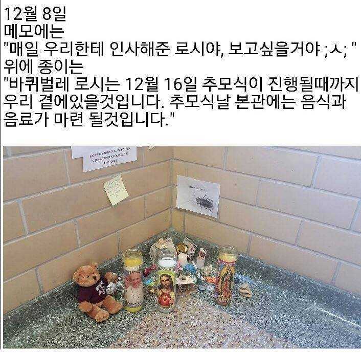 147131685714648.jpg