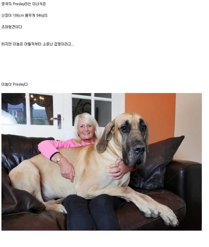147134412232827.jpg