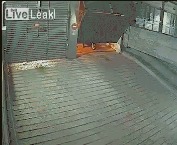147197888388306.jpg