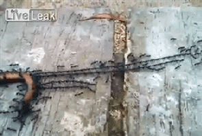 147278569159937.jpg