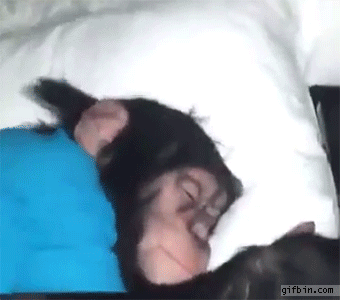 147393635786236.jpg
