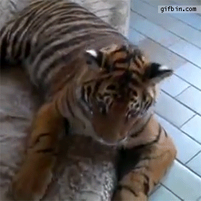 147393767236294.jpg