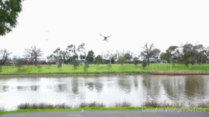 147399298140410.jpg