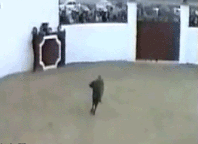 147493400147810.jpg